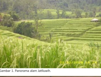 Gambar 2. Peserta Pelatihan Gambar 1. Panorama alam Jatiluwih.