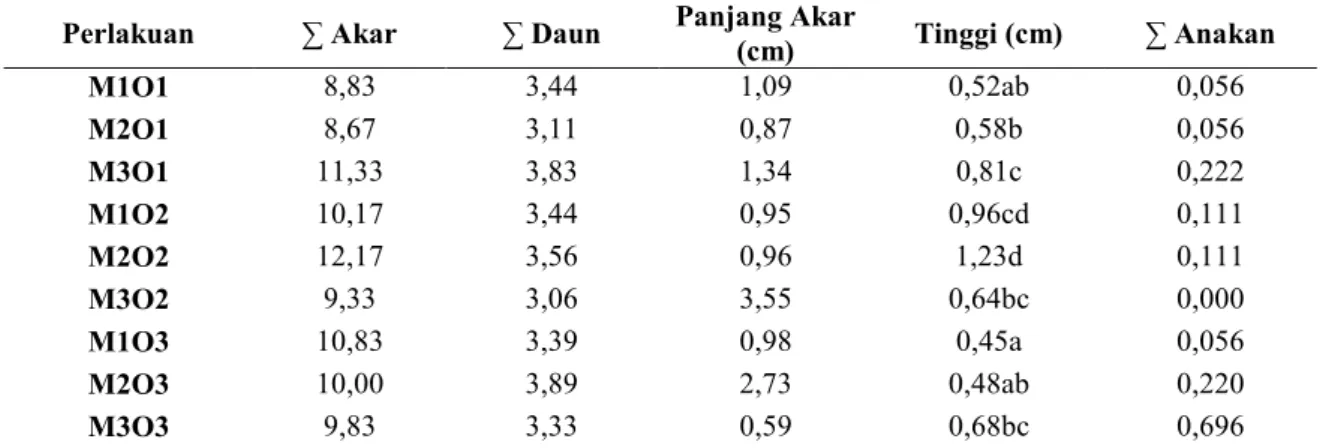 Tabel 1. Pengaruh konsentrasi media MS dan bahan organik terhadap pertumbuhan dan perkembangan plantlet  Cattleya