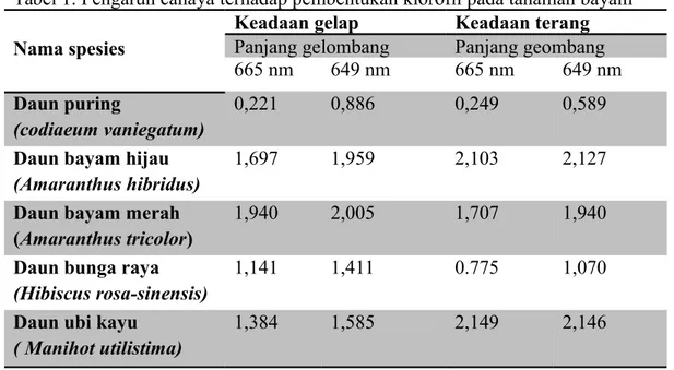 Tabel 1. Pengaruh cahaya terhadap pembentukan klorofil pada tanaman bayam Nama spesies