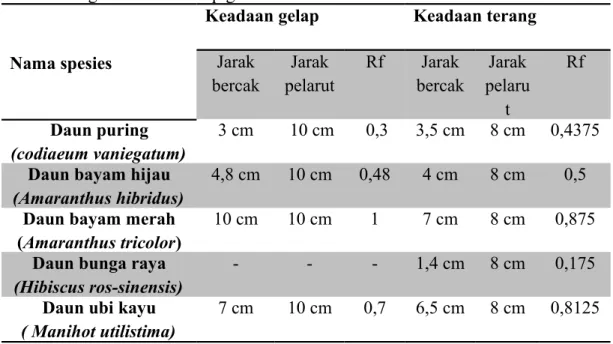Tabel 2. Pengamatan analisis pigmen daun