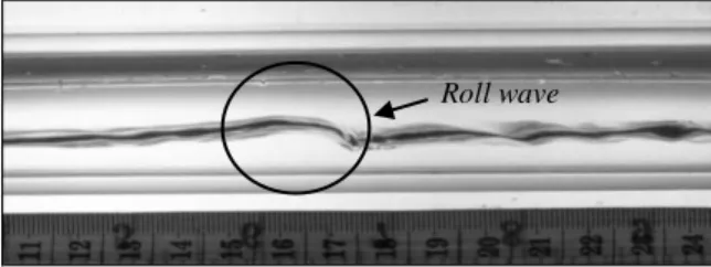 Gambar 8. Contoh Visualisasi Aliran Stratified Wavy + Roll (J L  = 0,047 m/s dan J G  = 3.77 m/s) 