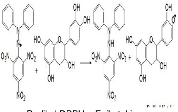 Gambar 2 :  Reaksi senyawa antioksidan  