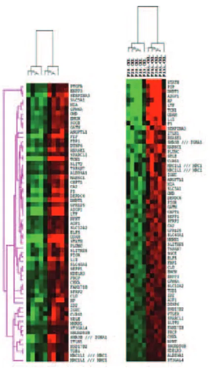Gambar 2. sebelum pengelompokkan (Heat map analysisspesimen Kolom hijau: ekspresi gen subjek sebelum terapi (sesudah terapi (Heat Map Analysis Microarray pada 5 pasang downregulated genes), kolom merah: ekspresi gen sesudah upregulated genes)