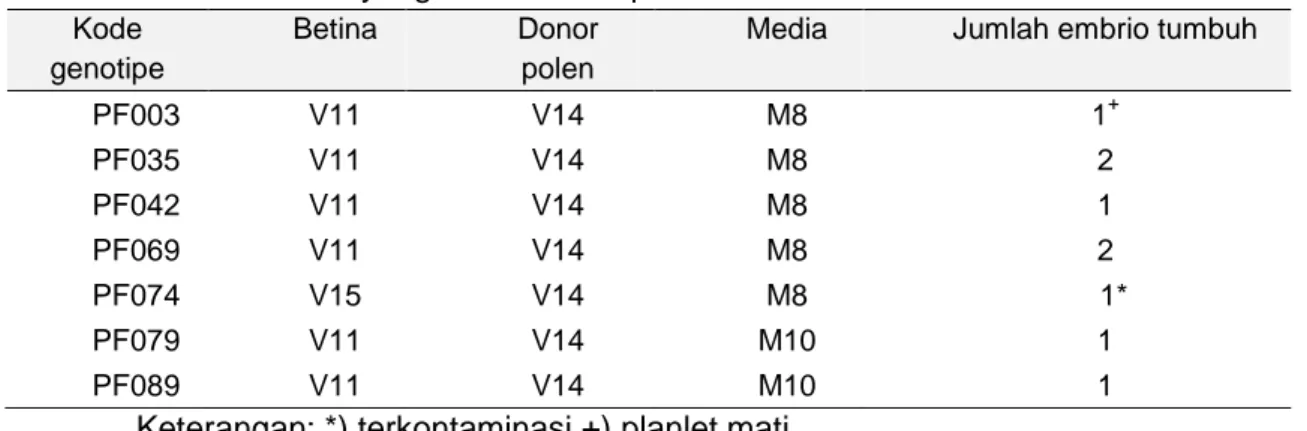 Tabel 4.   Rerata dan kisaran jumlah kloroplas pada sel penjaga stomata   enam  genotipe Dianthus cinensis 