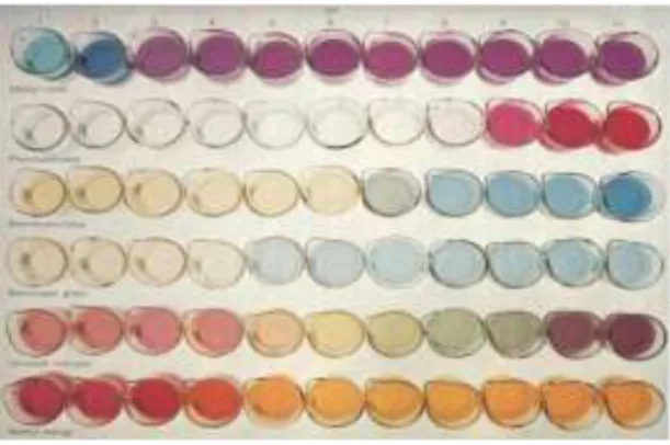 Gambar 2. Beberapa macam larutan indikator asam basa dengan warna-  warnanya pada derajat keasaman 1 sampai 11 