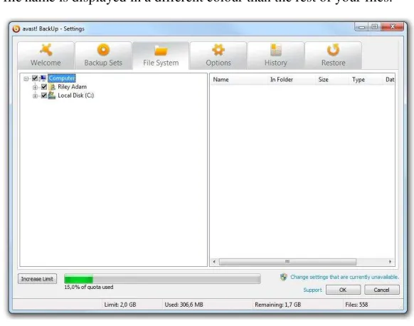 Figure 7: File System Tab 