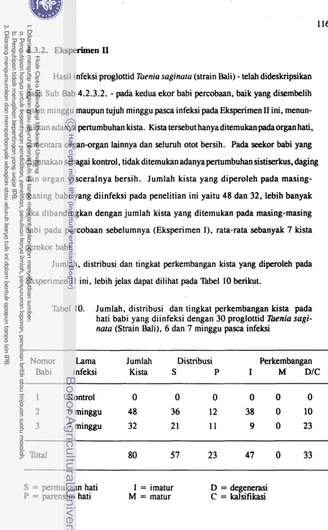 Tabel  10.  Jumlah,  distribusi  dan  tingkat  perkembangan kista  pada  hati babi yang diinfeksi dengan  30  proglottid  Taenia sagi-  nata  (Strain Bali),  6  dan  7  minggu pasca infeksi 