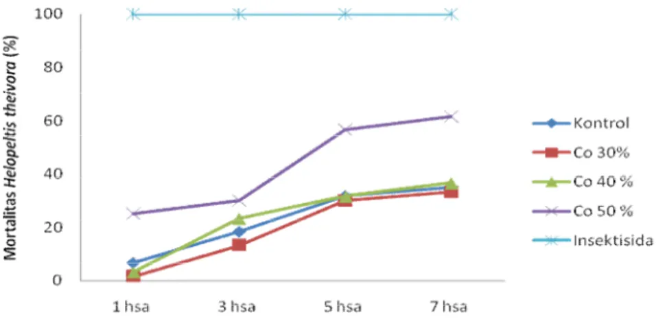 Gambar 2. Grafik perkembangan persentase mortalitas H. theivora pada 3 tingkat  konsentrasi ekstrak gulma siam (C