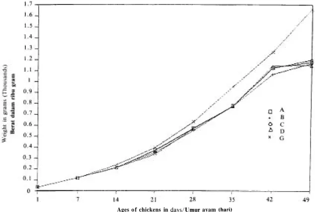 Figure  3 .   The growth  average  of  the  body  weight  in grams of  chicken5  (Cygro Experiment)