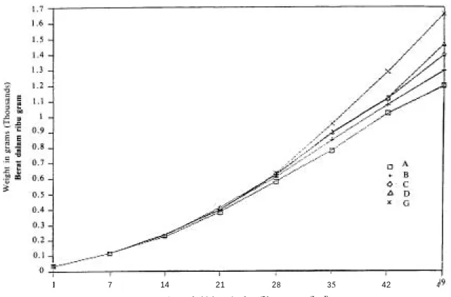 Figure  5 .   The growth average of  the body weight in grams of chickens (Clinacox Experiment)