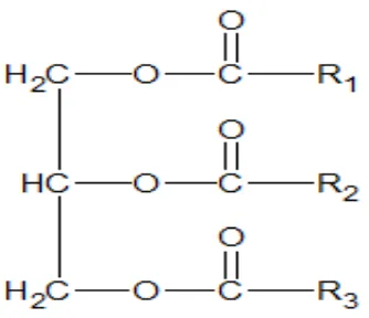 Gambar 2.2 Struktur trigliserida 