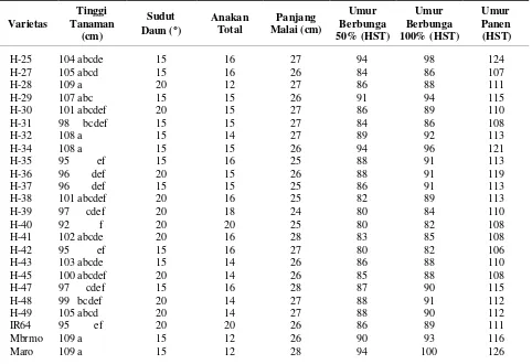 Tabel 1.  Nilai rataan parameter pertumbuhan  tanaman  dari varietas  padi  hibrida dan varietas IR64, Memberamo, dan Maro di KP