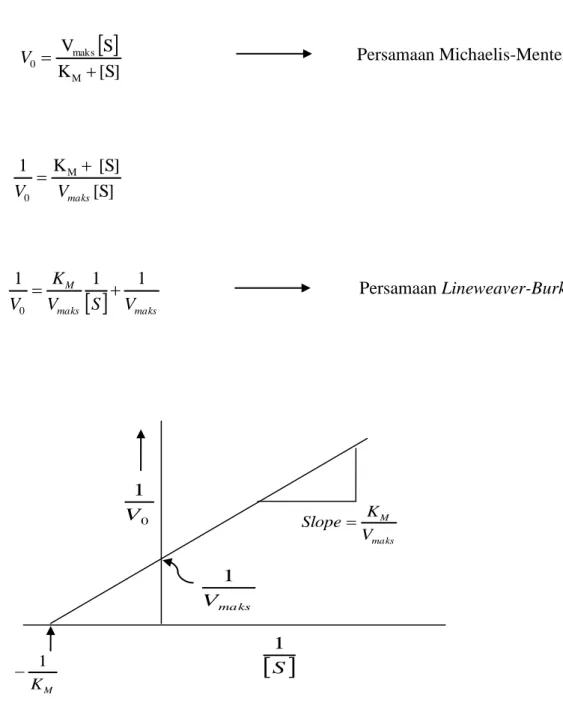 Gambar 10.  Diagram Lineweaver-Burk ( Suhartono, 1989). 