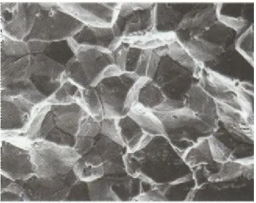 Fig. 1.14 galena aggregate 