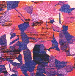 Fig. 1.15 color photo‐micrograph 