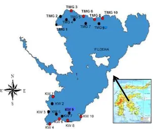 Gambar 1. Peta stasiun penelitian di Danau Towuti  
