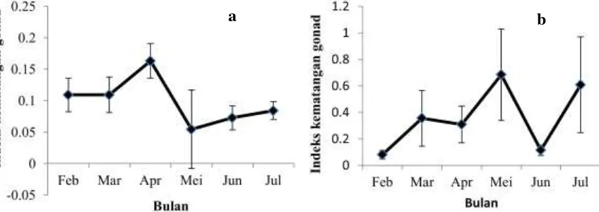 Gambar 4. Persentase tingkat kematangan gonad ikan nila jantan (a) dan betina (b) setiap      bulan