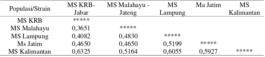 Tabel 6. Jarak genetik beberapa strain M.sintangense (MS) .