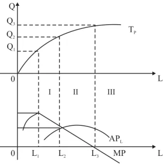 Gambar 1.17.  The Law of Diminishing Marginal Return