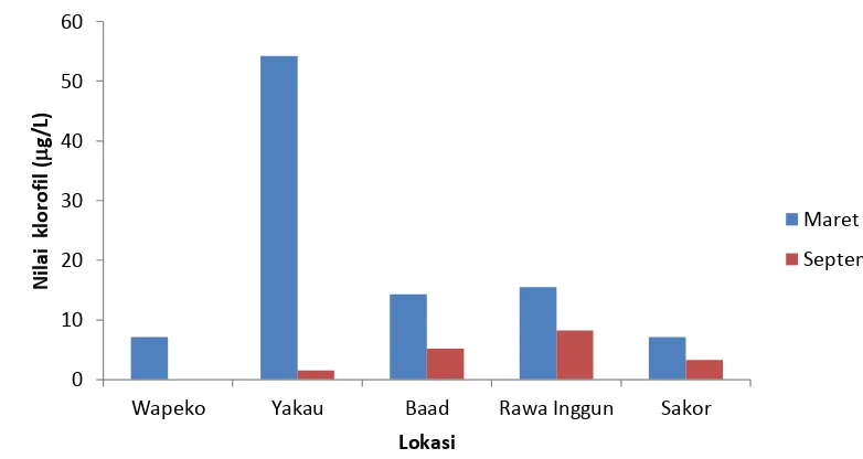 Gambar 3. Distribusi Spasial nilai klorofil-a  Maret-September Sungai Kumbe 2014.  
