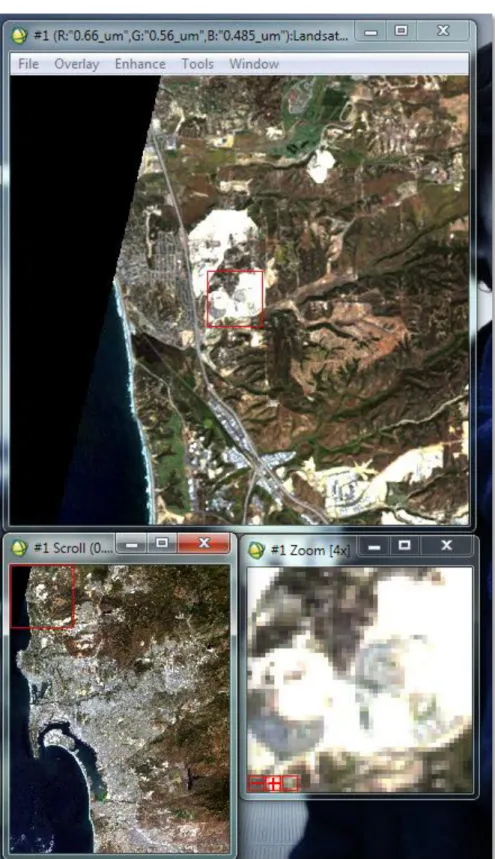 Gambar 5. Tampilan Data Citra Satelit Landsat True Color di ENVI 