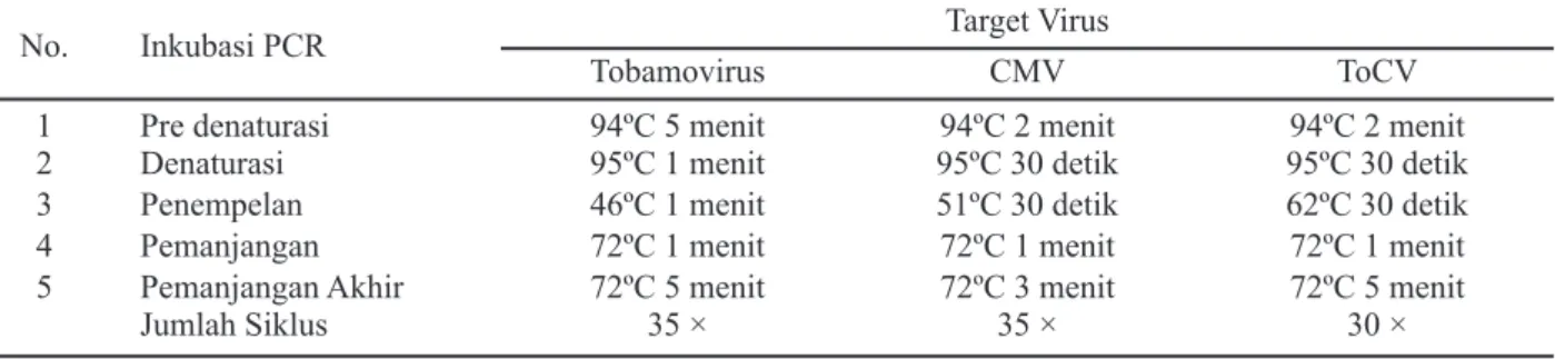 Tabel 2. Siklus PCR untuk amplifikasi CMV, ToCV, dan Tobamovirus