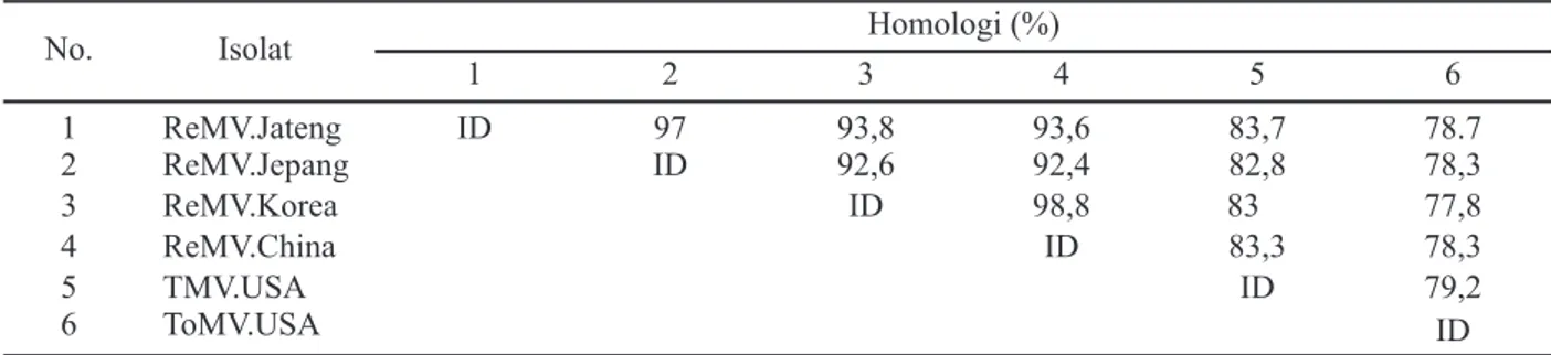 Tabel 4. Persentase kesamaan basa nukleotida dari gen RNA3 isolat ReMV pada tembakau (Nicotiana tabacum L.) asal Yogyakarta dengan beberapa isolat Tobamovirus dari beberapa negara dengan program Genetyx