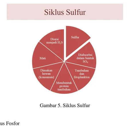 Gambar 5. Siklus Sulfur 