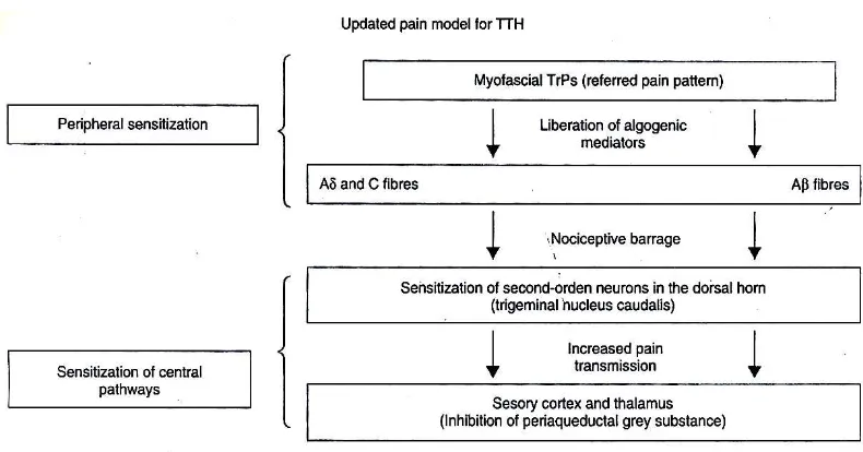 Gambar 2. Updated pain model pada TTH 