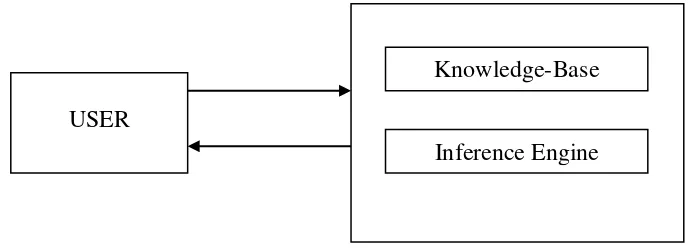 Gambar 2.1 Fungsi Dasar Sistem Pakar (Giarratano dan Riley, 2005) 