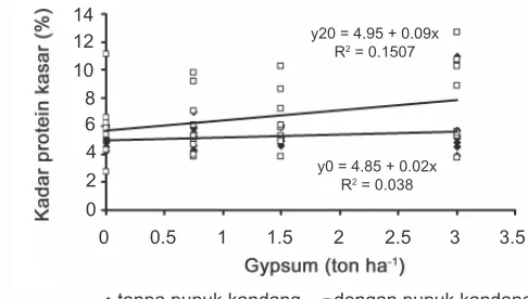 Gambar 5.   Respon kadar protein kasar hijauan terhadap gypsum pada pupuk kandang dan dengan pupuk kandang