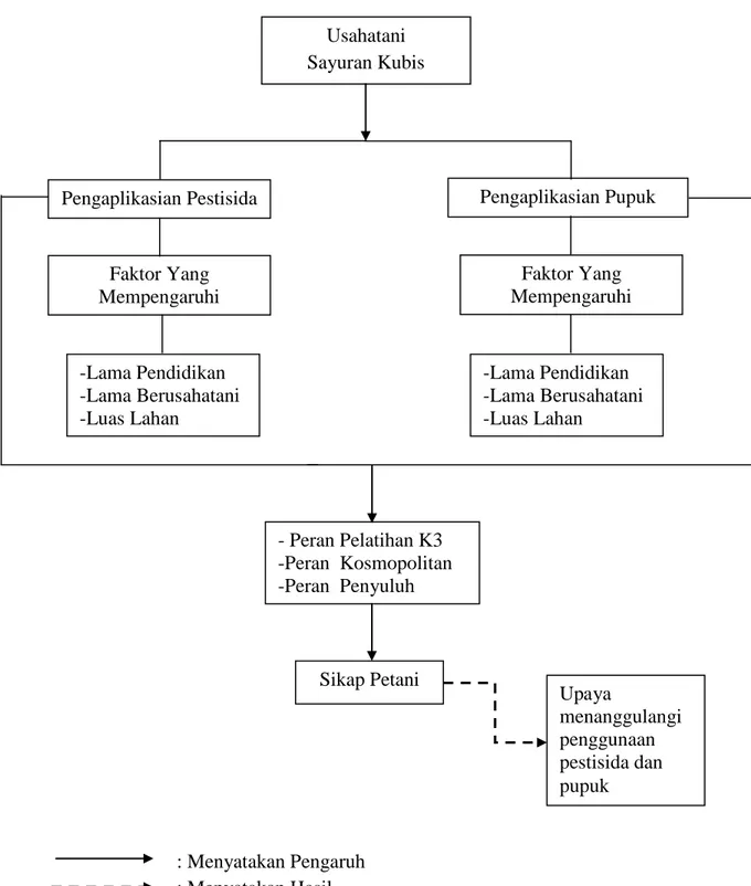 Gambar 1: Skema Kerangka Pemikiran Sikap Petani Dan Faktor-Faktor           Yang Mempengaruhi Penggunaan Pestisida Dan Pupuk Pada           Tanaman Sayuran Kubis (Brasiica Oleracea)  
