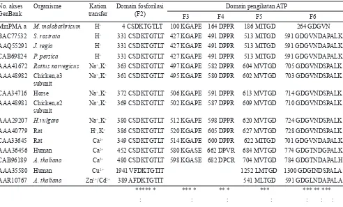 Gambar 5.   Model topogra!  transmembran dan loop sitoplasma dari H+-ATPase membran plasma