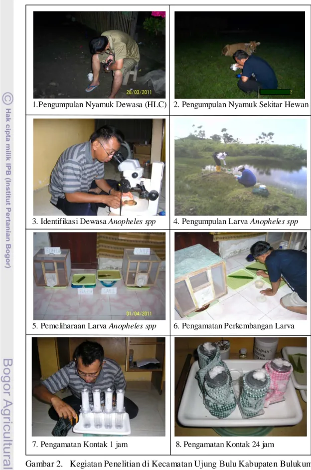 Gambar 2.   Kegiatan Penelitian di Kecamatan Ujung Bulu Kabupaten Bulukumba  (Februari-Agustus 2011)