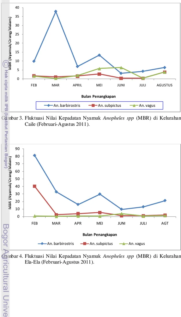 Gambar 3. Fluktuasi  N ilai  Kepadatan Nyamuk Anopheles spp  (MBR) di Kelurahan  Caile (Februari-Agustus 2011)