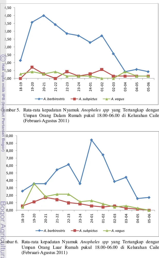 Gambar 5.   Rata-rata kepadatan N yamuk Anopheles spp  yang Tertangkap dengan  Umpan Orang Dalam Rumah pukul 18.00-06.00 di Kelurahan Caile  (Februari-Agustus 2011)   