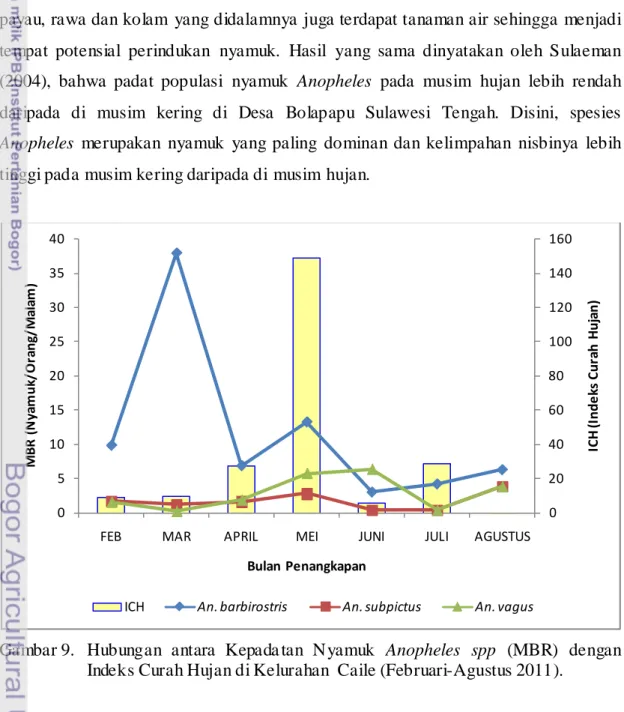 Gambar 9.   Hubungan antara Kepada tan Nyamuk Anopheles spp  (MBR)  dengan  Indeks Curah Hujan di Kelurahan  Caile (Februari-Agustus 2011)