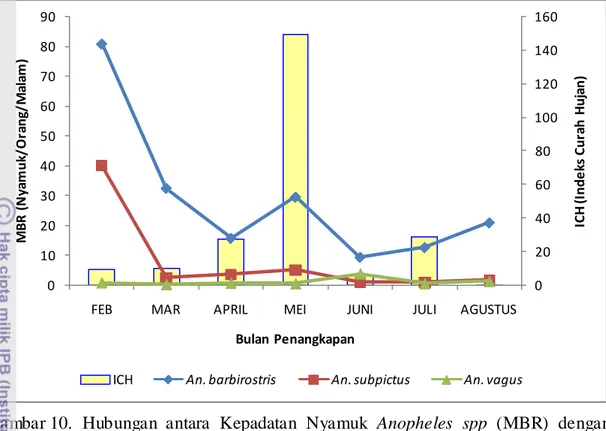 Gambar 10.  Hubungan antara Kepadatan Nyamuk Anopheles spp  (MBR)  dengan  Indeks Curah Hujan  di Kelurahan  Ela-Ela (Februari-Agustus 2011)