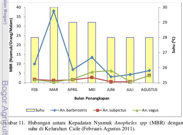 Gambar 11.  Hubungan antara Kepadatan Nyamuk Anopheles spp  (MBR)  dengan  suhu di Kelurahan  Caile (Februari- Agustus 2011)
