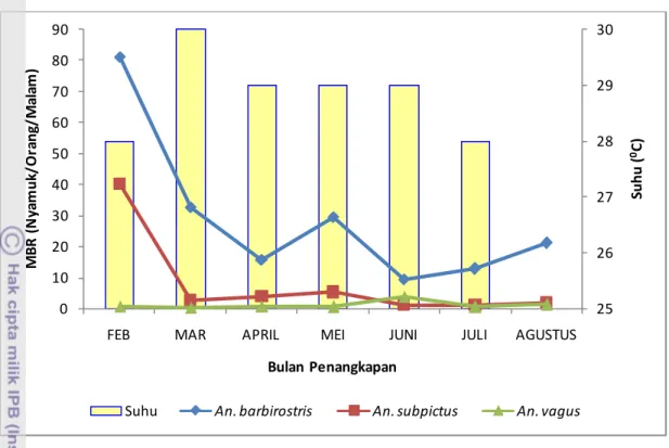 Gambar 12.  Hubungan antara Kepadatan Nyamuk Anopheles spp  (MBR)  dengan  suhu di Kelurahan  Ela-Ela (Februari- Agustus 2011)