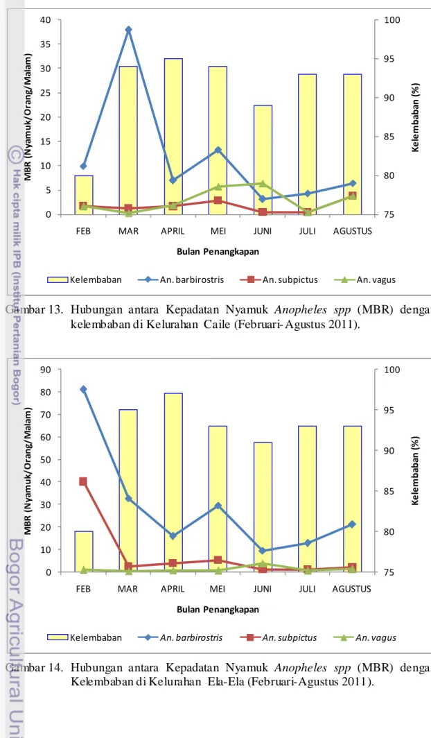 Gambar 13.  Hubungan antara Kepadatan Nyamuk Anopheles spp  (MBR)  dengan  kelembaban di Kelurahan  Caile  (Februari- Agustus 2011)