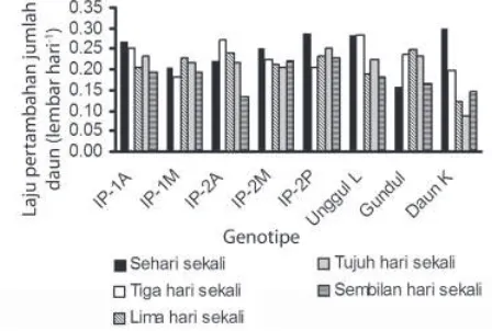 Gambar 4.  Laju pertumbuhan diameter batang 8 genotipe bibit jarak pagar pada interval penyiraman yang  berbeda dari umur 15 hingga 60 hari setelah semai