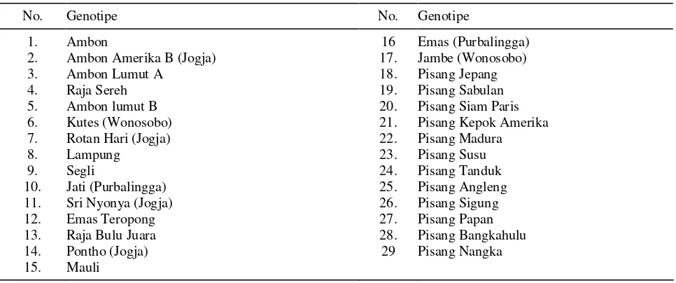 Tabel 1.  Daftar genotipe pisang yang digunakan untuk pengujian sidik lintas 