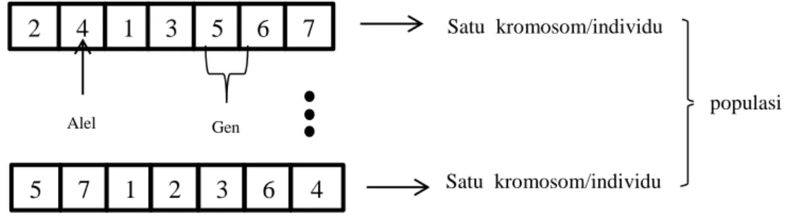Gambar 2  Ilustrasi kromosom bilangan bulat 