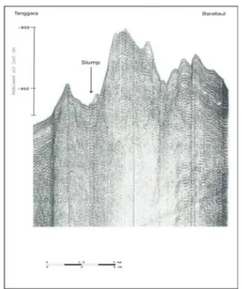 Gambar 6.  Rekaman seismik refleksi lintasan L-60 . 
