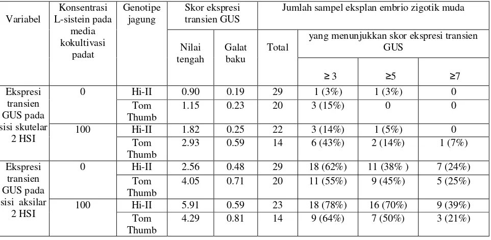Tabel 1.  Pengaruh konsentrasi L-sistein dan genotipe jagung terhadap ekspresi transien GUS pada sisi skutelar dan aksilar ekplan embrio muda, diamati 2 hari setelah inokulasi (HSI) 