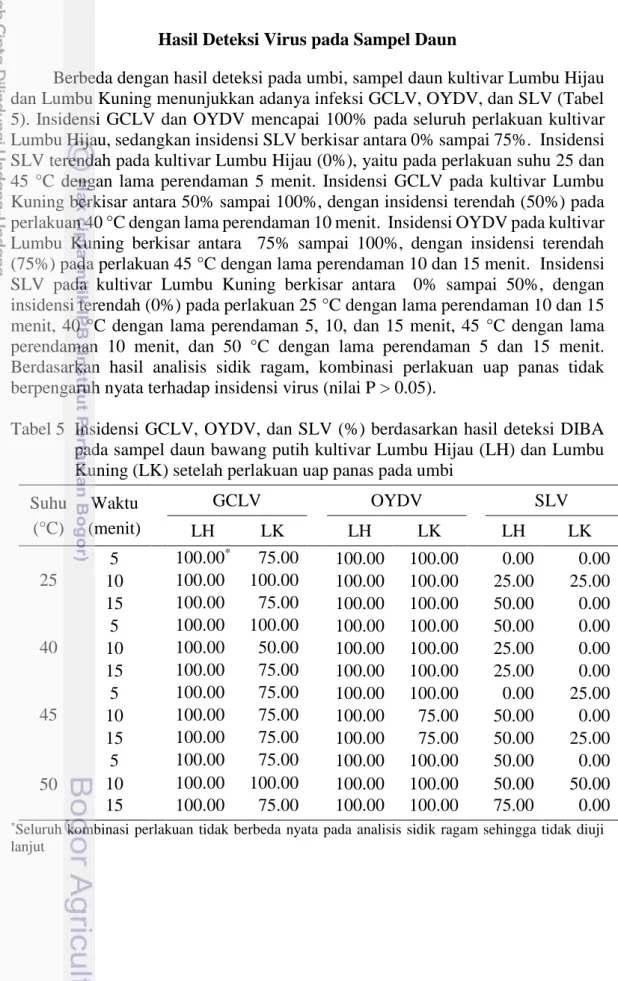 Tabel 5  Insidensi GCLV, OYDV, dan SLV (%) berdasarkan hasil deteksi DIBA  pada sampel daun bawang putih kultivar Lumbu Hijau (LH) dan Lumbu  Kuning (LK) setelah perlakuan uap panas pada umbi 