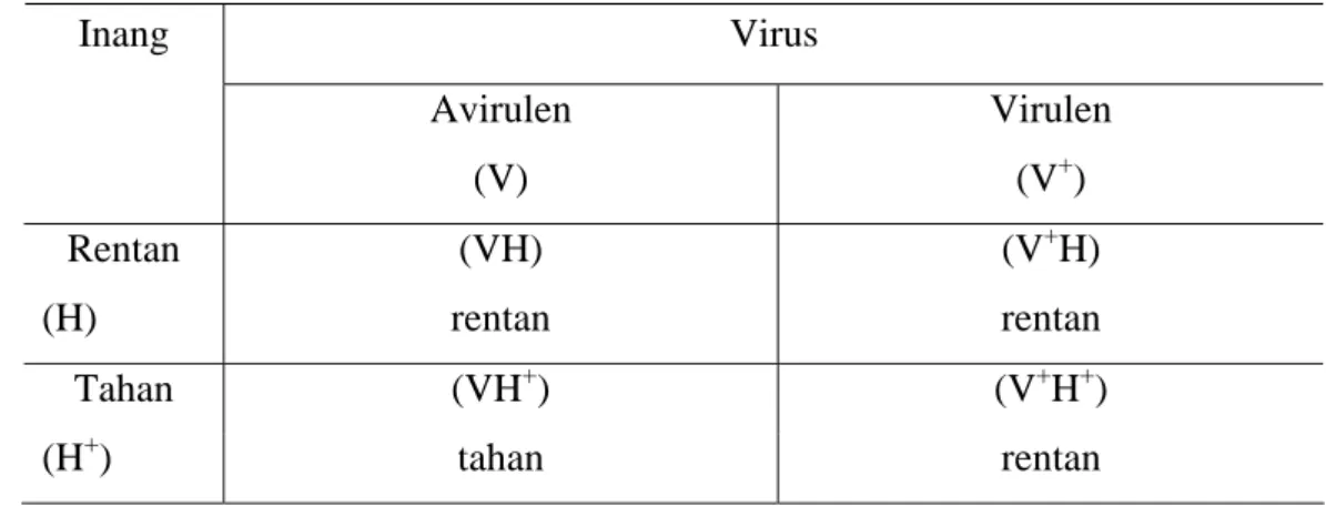 Tabel 1. Interaksi antara gen tanaman inang dan gen virus   Virus Inang  Avirulen  (V)  Virulen (V+)  Rentan  (H)  (VH)  rentan  (V + H)  rentan  Tahan (VH + ) (V + H + )  (H + ) tahan  rentan 