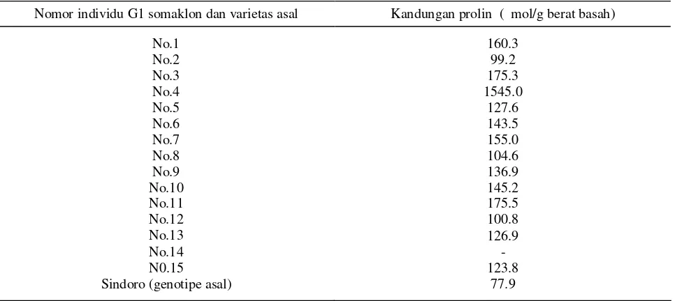 Tabel 4.  Kandungan prolin 15 galur somaklon dan varietas pembanding yang diuji pada kondisi cekaman kekeringan 