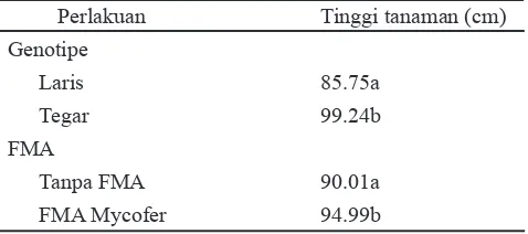 Tabel 1. Tinggi tanaman genotipe cabai Laris dan Tegar pada faktor genotipe dan FMA 